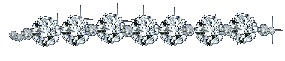Gif animé bijoux bracelet